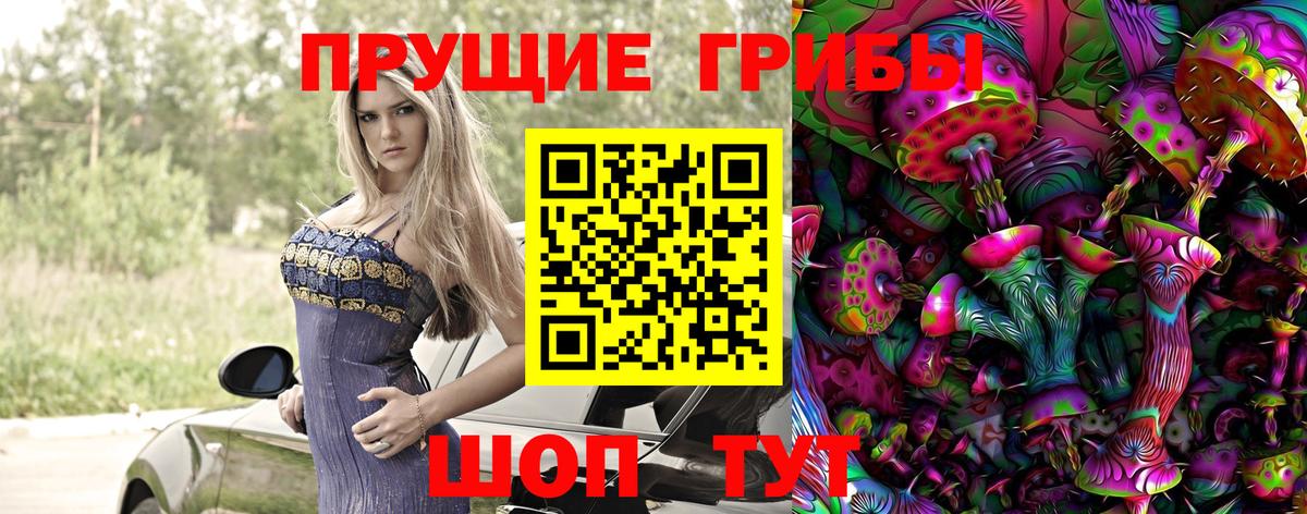 Псилоцибиновые грибы GOLDEN TEACHER Ижевск