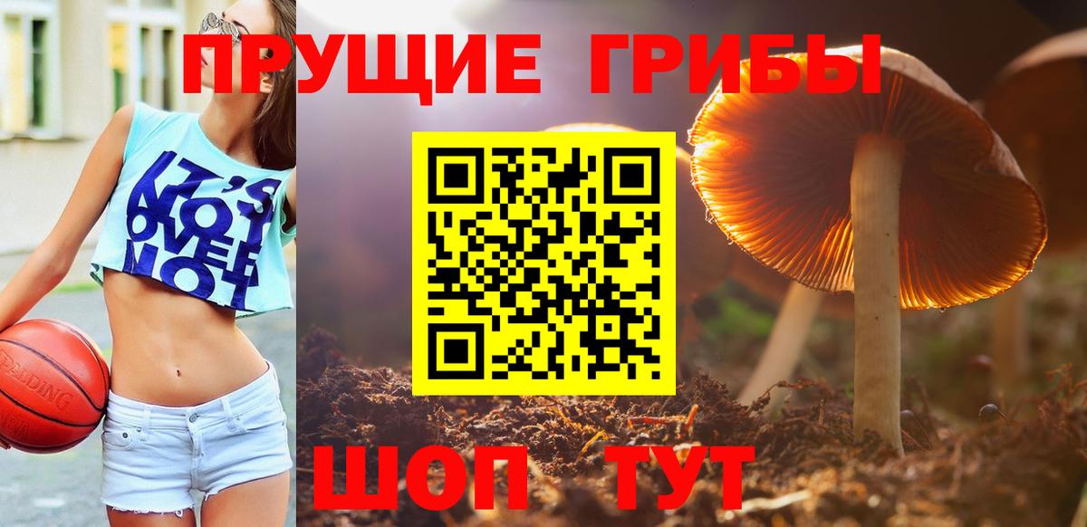 где можно купить наркотик  Вход с VPN  Ижевск  Псилоцибиновые грибы прущие грибы 